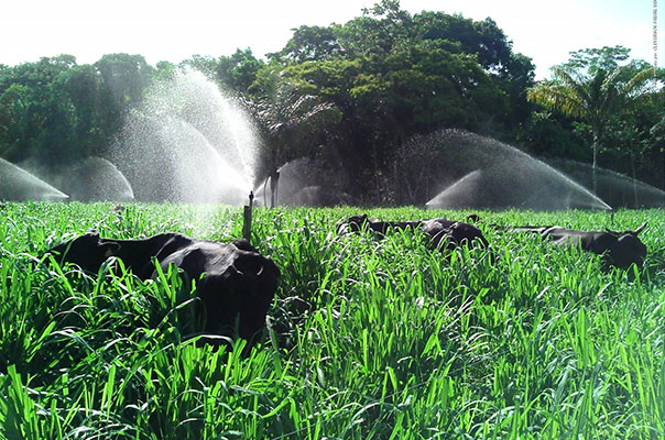 Curso de irrigação de pastagens prorroga inscrições até dia 25 ...