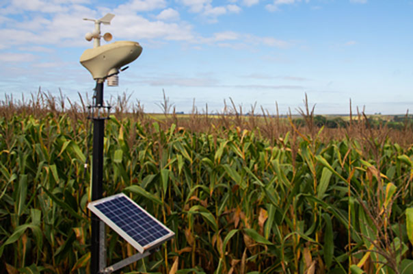 Agricultura Digital e a barreira do senso comum - Sensix Blog