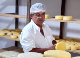 Produtores de MG se preparam para a ExpoQueijo Brasil